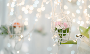 Ryanters-Light Decoration , Bangalore